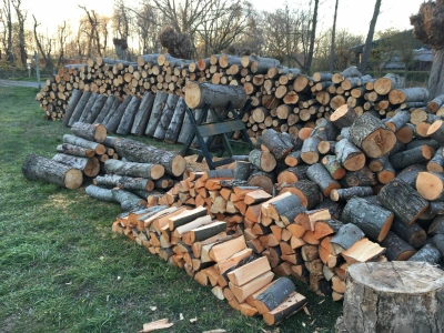 Дрова акация